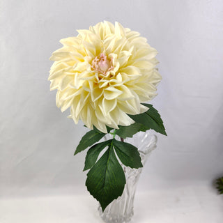 Dahlia Stem - Champagne