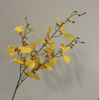 Orchid Stem - Yellow